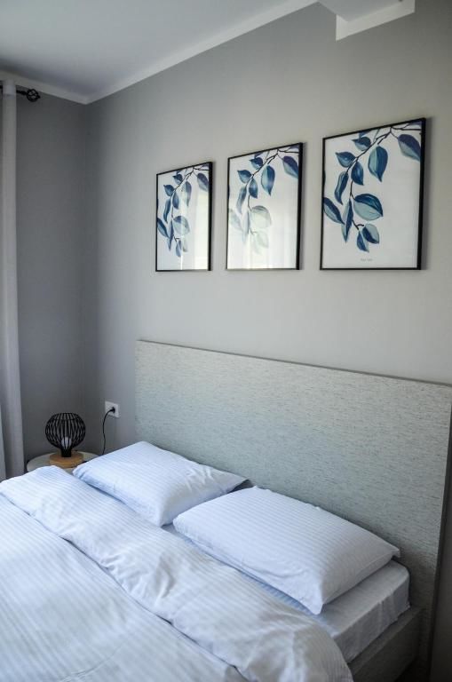 Апартаменты Premium-Designed Apartments Тиват