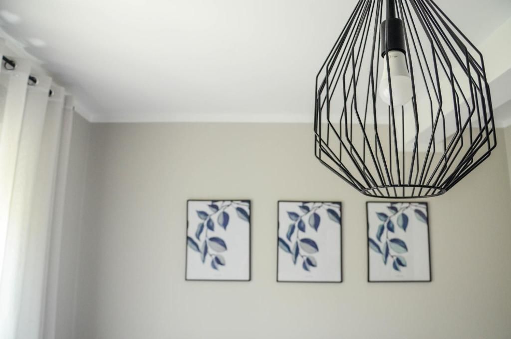 Апартаменты Premium-Designed Apartments Тиват-206