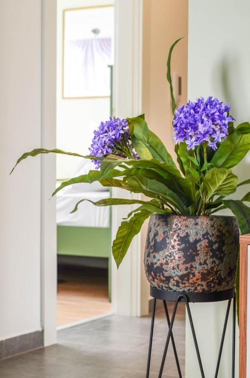 Апартаменты Premium-Designed Apartments Тиват-256