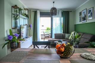 Апартаменты Premium-Designed Apartments Тиват Апартаменты с 2 спальнями-17